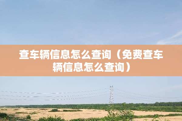 查车辆信息怎么查询（免费查车辆信息怎么查询）