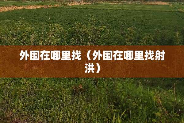 外围在***（外围在***射洪）