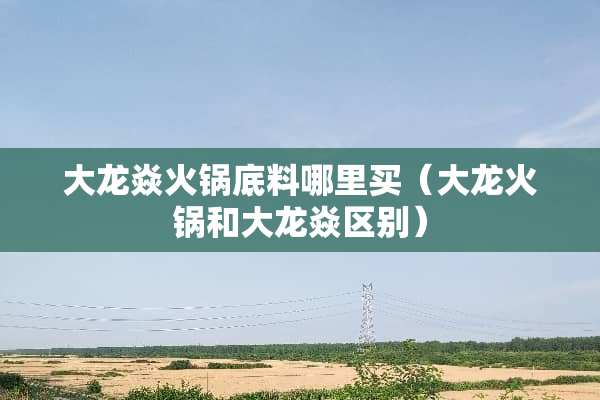 大龙焱火锅底料哪里买（大龙火锅和大龙焱区别）