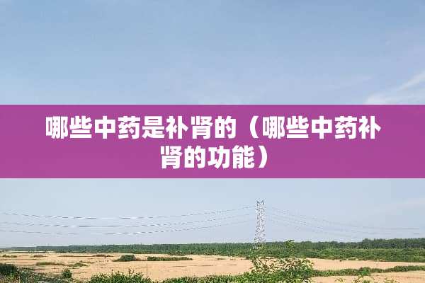 哪些中药是补肾的（哪些中药补肾的功能）