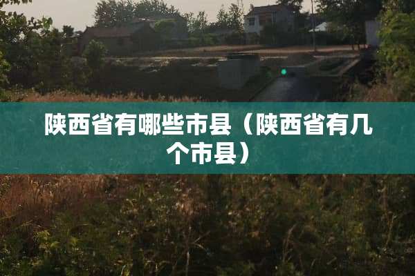 陕西省有哪些市县（陕西省有几个市县）