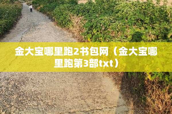 金**哪里跑2书包网（金**哪里跑第3部txt）