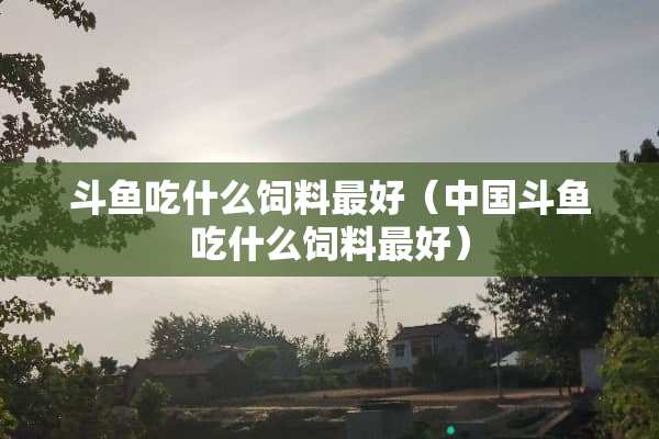 斗鱼吃什么饲料最好（中国斗鱼吃什么饲料最好）