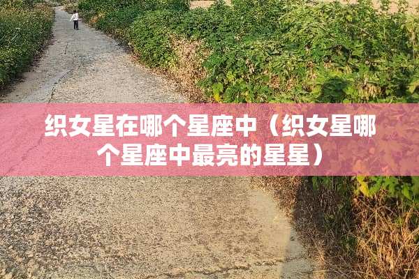 织女星在哪个星座中（织女星哪个星座中最亮的星星）