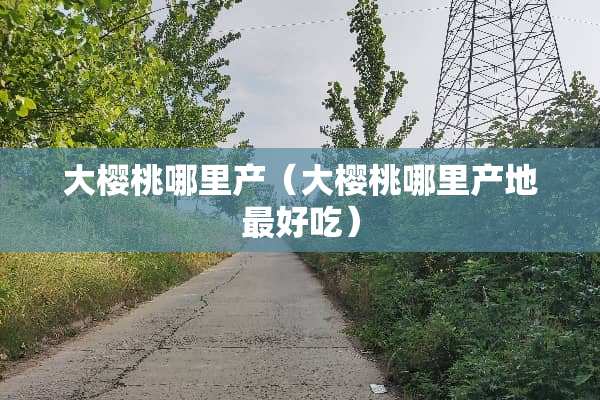 大樱桃哪里产（大樱桃哪里产地最好吃）