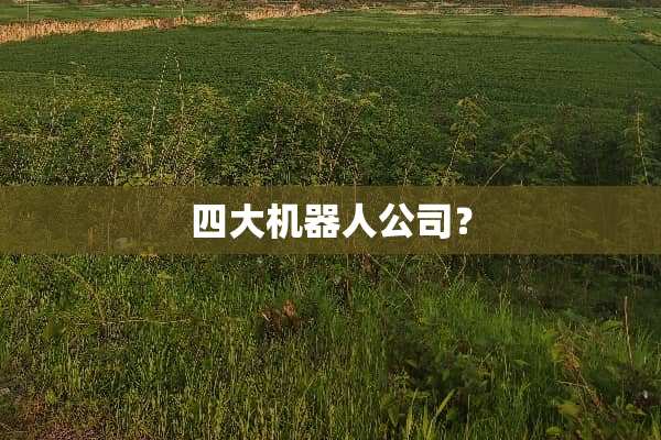 四大机器人公司？