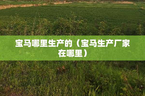 宝马哪里生产的（宝马生产厂家在哪里）
