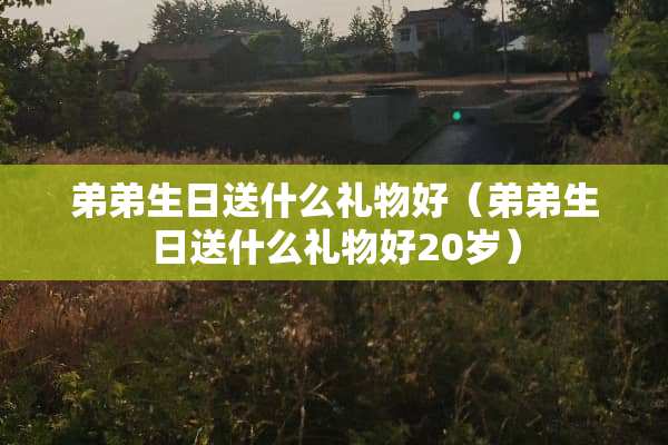 弟弟生日送什么礼物好（弟弟生日送什么礼物好20岁）