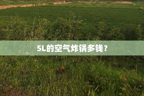 5L的空气炸锅多钱？