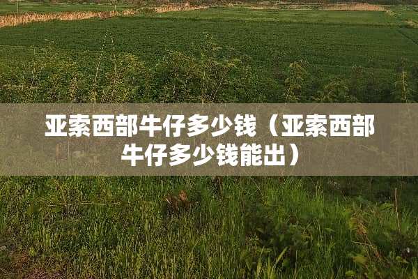 亚索西部牛仔多少钱（亚索西部牛仔多少钱能出）