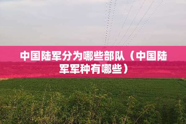 中国陆军分为哪些**（中国陆军军种有哪些）