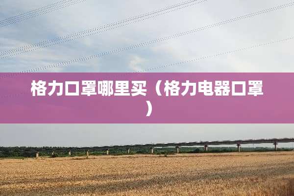 格力口罩哪里买（格力电器口罩）