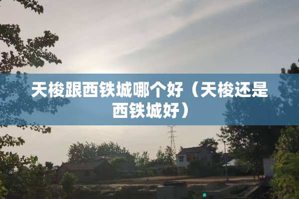 天梭跟西铁城哪个好（天梭还是西铁城好）