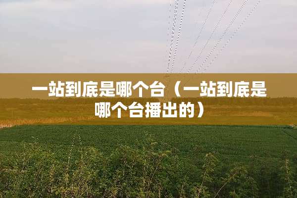 一站到底是哪个台（一站到底是哪个台播出的）