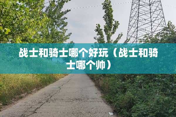 战士和骑士哪个好玩（战士和骑士哪个帅）