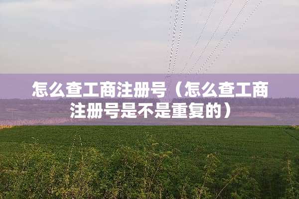 怎么查工商注册号（怎么查工商注册号是不是重复的）