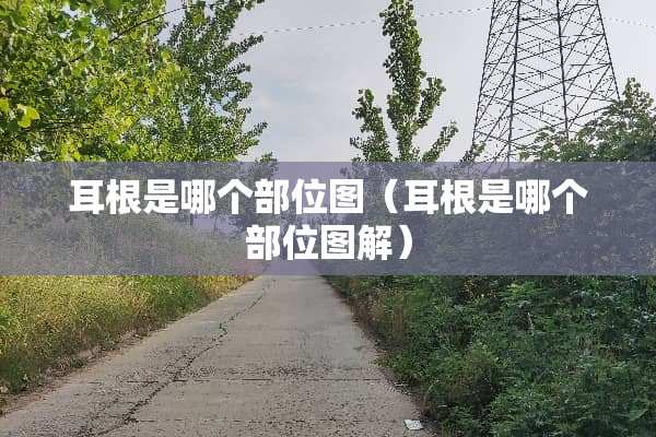 耳根是哪个部位图（耳根是哪个部位图解）