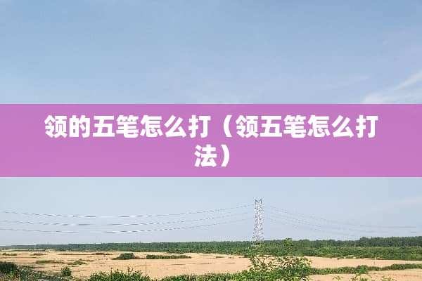 领的五笔怎么打（领五笔怎么打法）