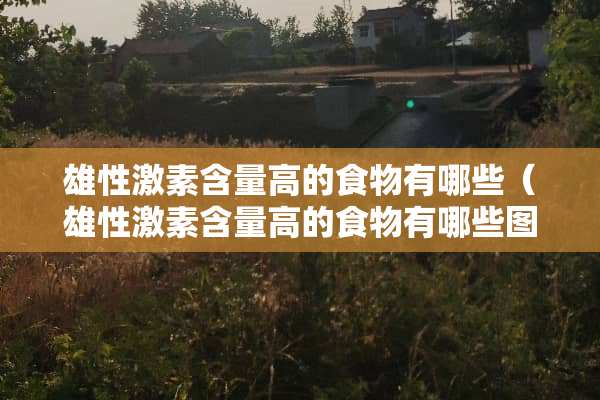 雄性激素含量高的食物有哪些（雄性激素含量高的食物有哪些图片）