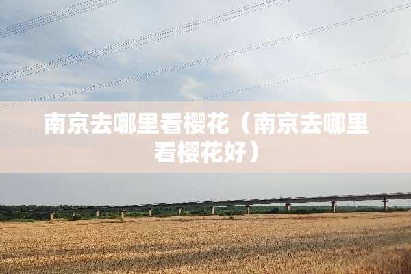 南京去哪里看樱花（南京去哪里看樱花好）