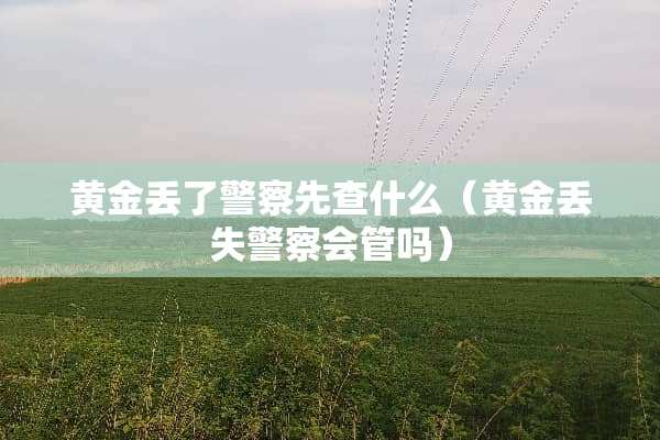 黄金丢了**先查什么（黄金丢失**会管吗）