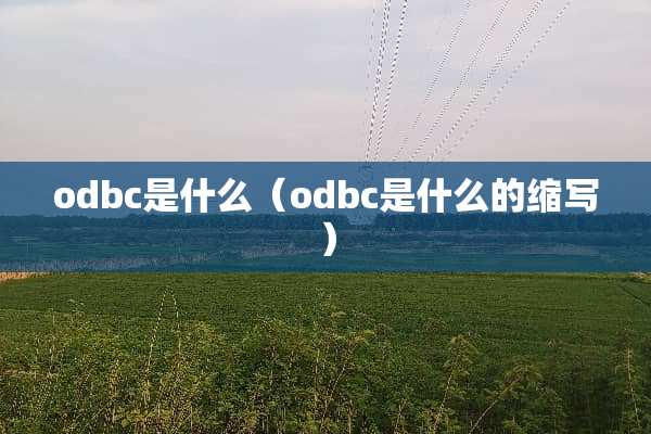 odbc是什么（odbc是什么的缩写）
