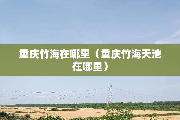 重庆竹海在哪里（重庆竹海天池在哪里）