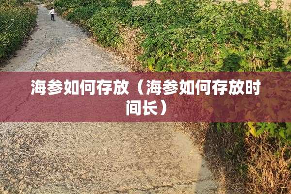 海参如何存放（海参如何存放时间长）