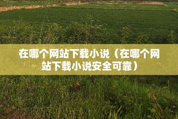 在哪个网站下载小说（在哪个网站下载小说安全可靠）