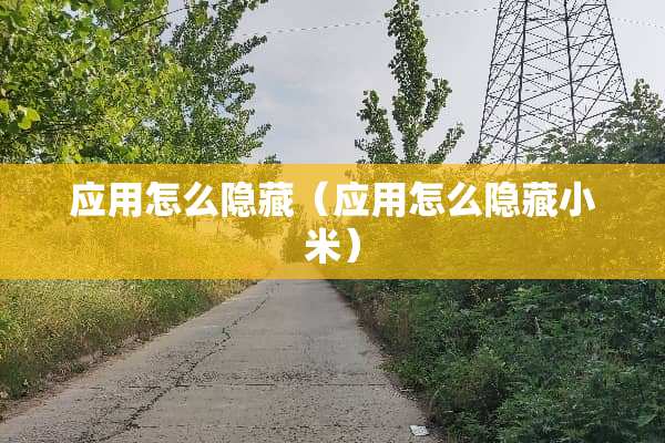 应用怎么隐藏（应用怎么隐藏小米）