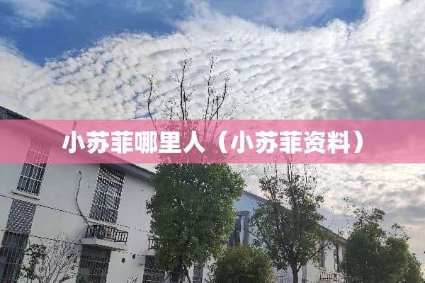 小苏菲哪里人（小苏菲资料）