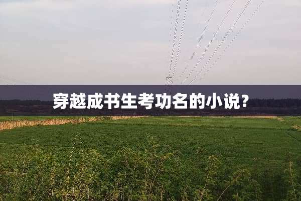 穿越成书生考功名的小说？
