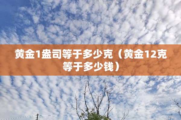 黄金1盎司等于多少克（黄金12克等于多少钱）