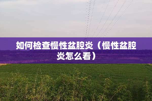 如何检查慢性盆腔炎（慢性盆腔炎怎么看）