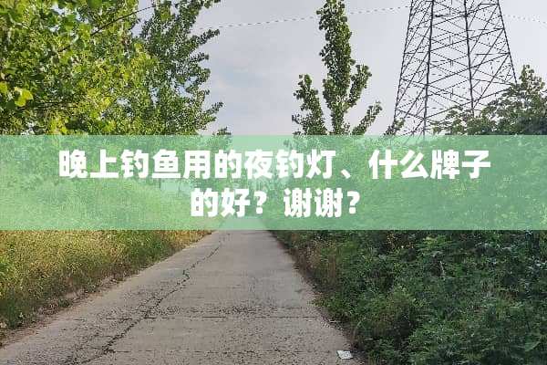 晚上钓鱼用的夜钓灯、什么牌子的好？谢谢？