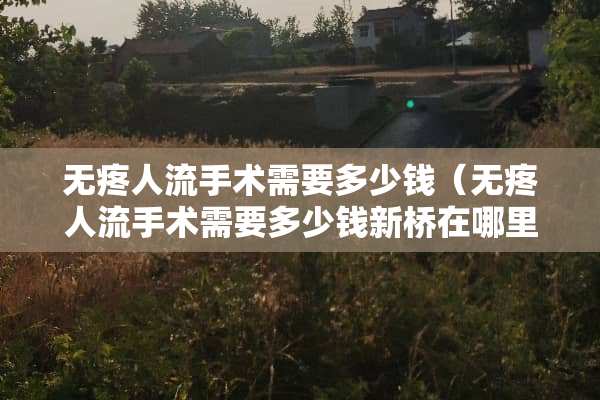 无疼人流手术需要多少钱（无疼人流手术需要多少钱新桥在哪里）