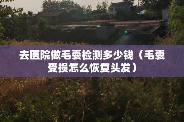 去医院做毛囊检测多少钱（毛囊受损怎么恢复头发）