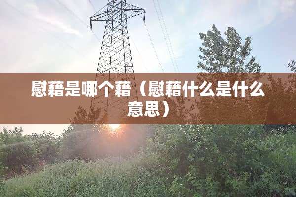 慰藉是哪个藉（慰藉什么是什么意思）