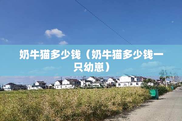 奶牛猫多少钱（奶牛猫多少钱一只幼崽）
