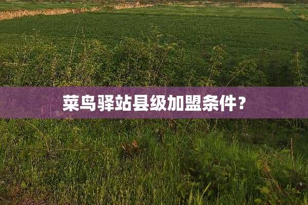 菜鸟驿站县级加盟条件？