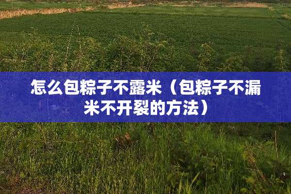 怎么包粽子不露米（包粽子不漏米不开裂的方法）