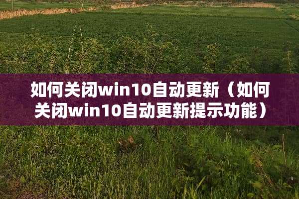 如何关闭win10自动更新（如何关闭win10自动更新提示功能）