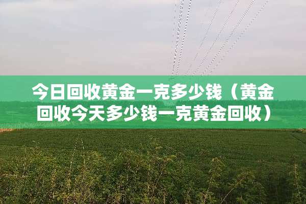 今日回收黄金一克多少钱（黄金回收今天多少钱一克黄金回收）