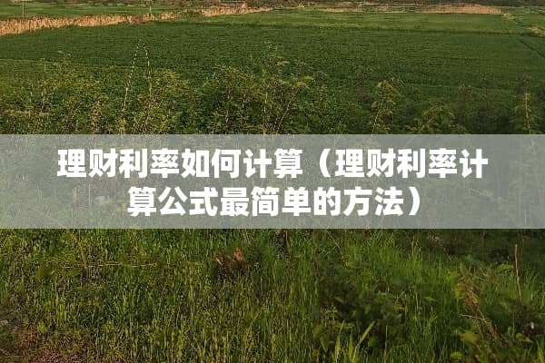 理财利率如何计算（理财利率计算公式最简单的方法）