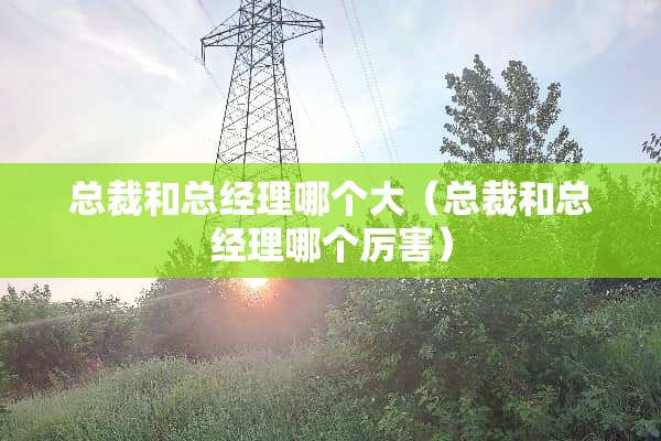 总裁和总经理哪个大（总裁和总经理哪个厉害）