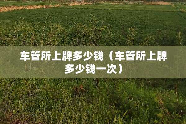 车管所上牌多少钱（车管所上牌多少钱一次）