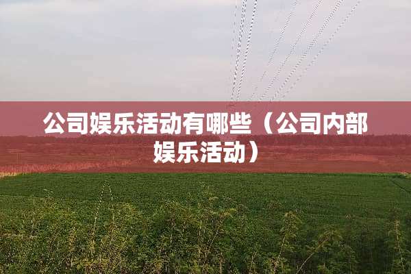 公司娱乐活动有哪些（公司内部娱乐活动）