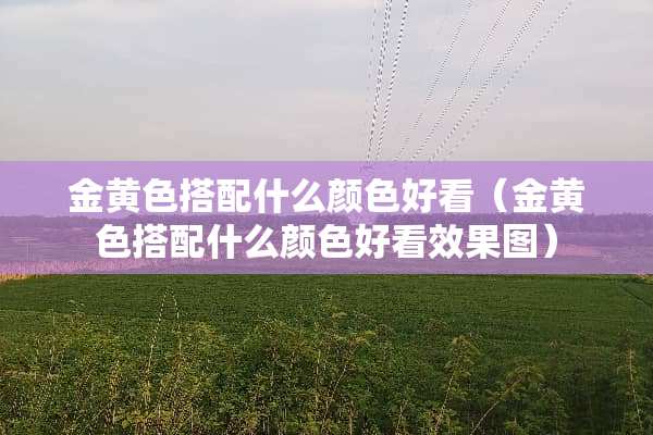 金**搭配什么颜色好看（金**搭配什么颜色好看效果图）