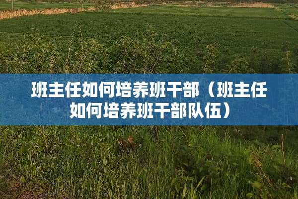 班主任如何培养班干部（班主任如何培养班干**伍）