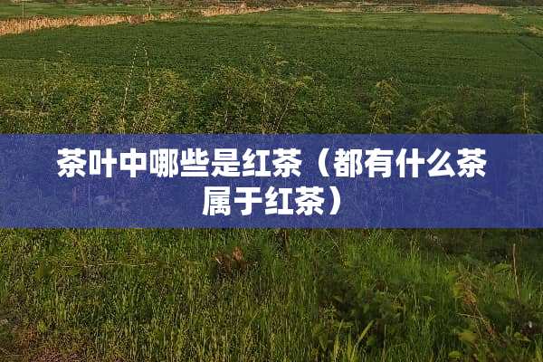 茶叶中哪些是红茶（都有什么茶属于红茶）